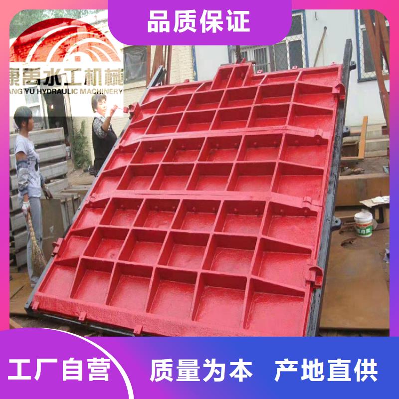 闸门来图加工定制