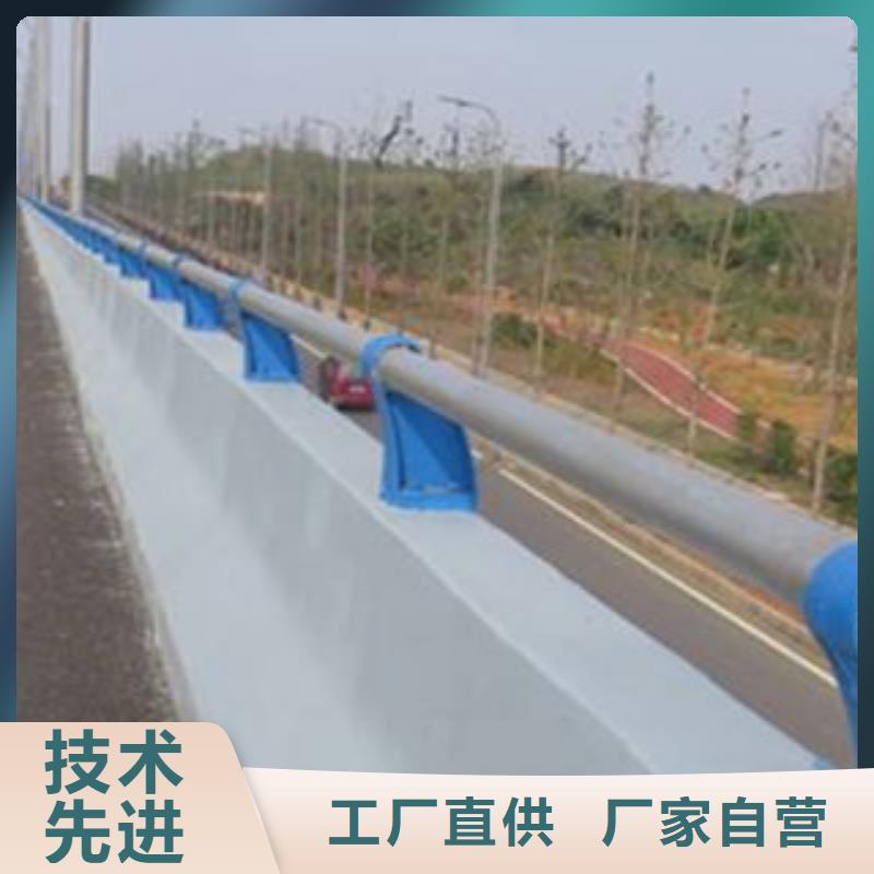 【栏杆_【道路护栏】推荐商家】