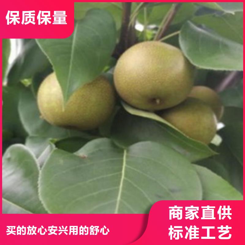 15厘米种植方法