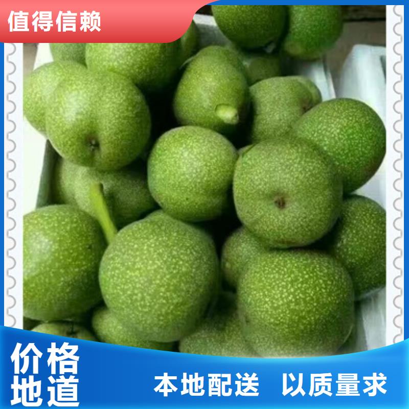 核桃苗蓝莓苗有口皆碑