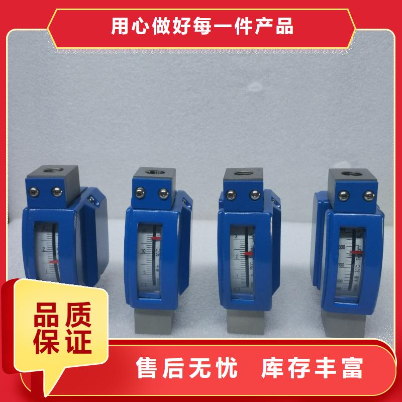 微小流量计吹扫装置实力见证