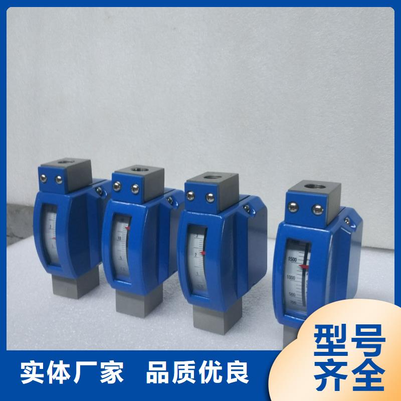 微小流量计吹扫装置实力见证