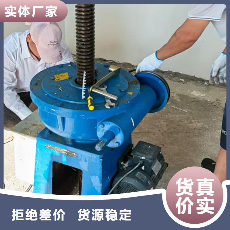 单吊点螺杆启闭机加工定做