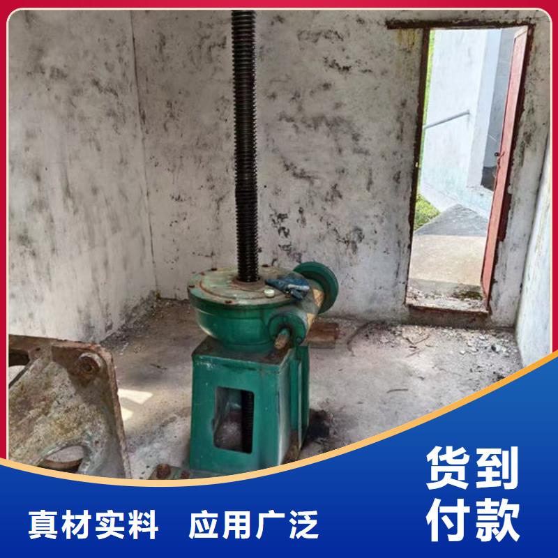 单吊点螺杆启闭机加工定做
