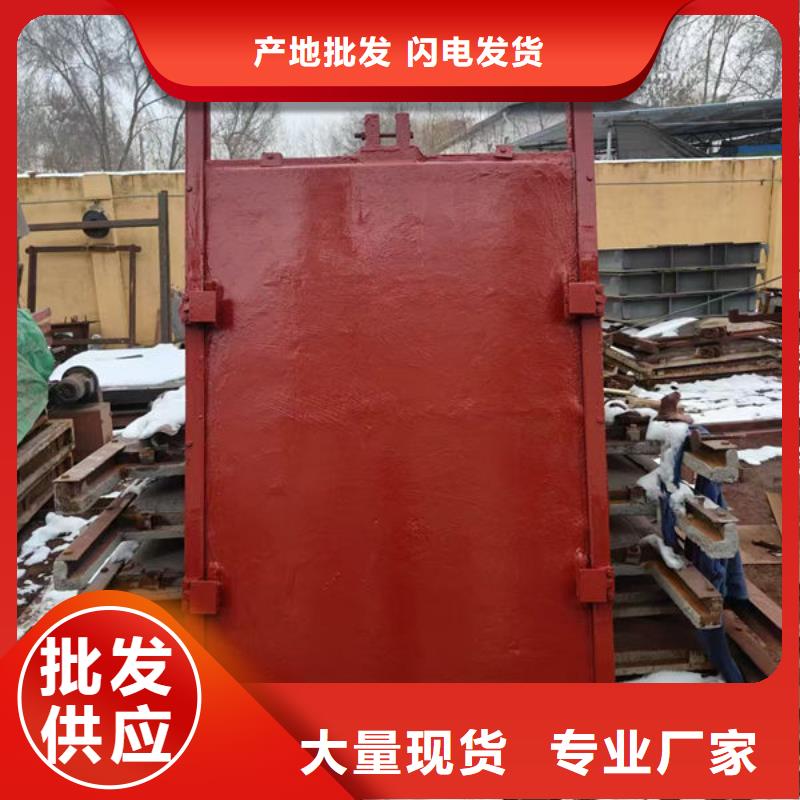 铸铁镶铜闸门钢坝价格