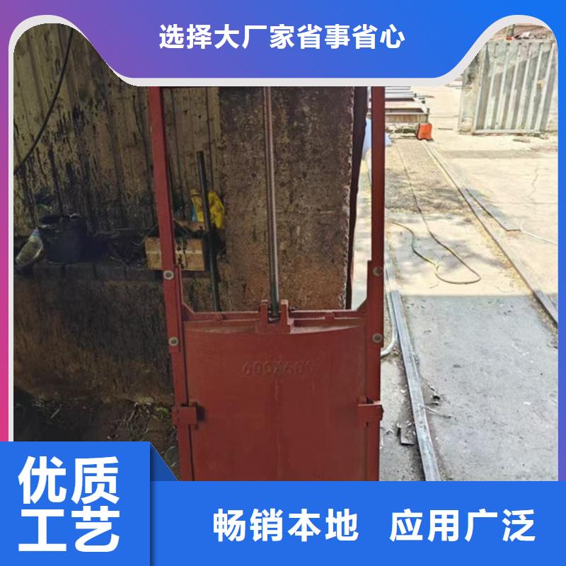 铸铁镶铜闸门钢坝价格