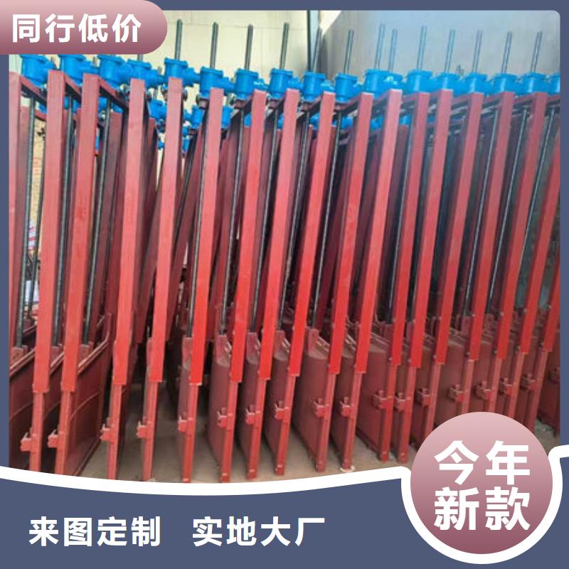 河道铸铁闸门厂家