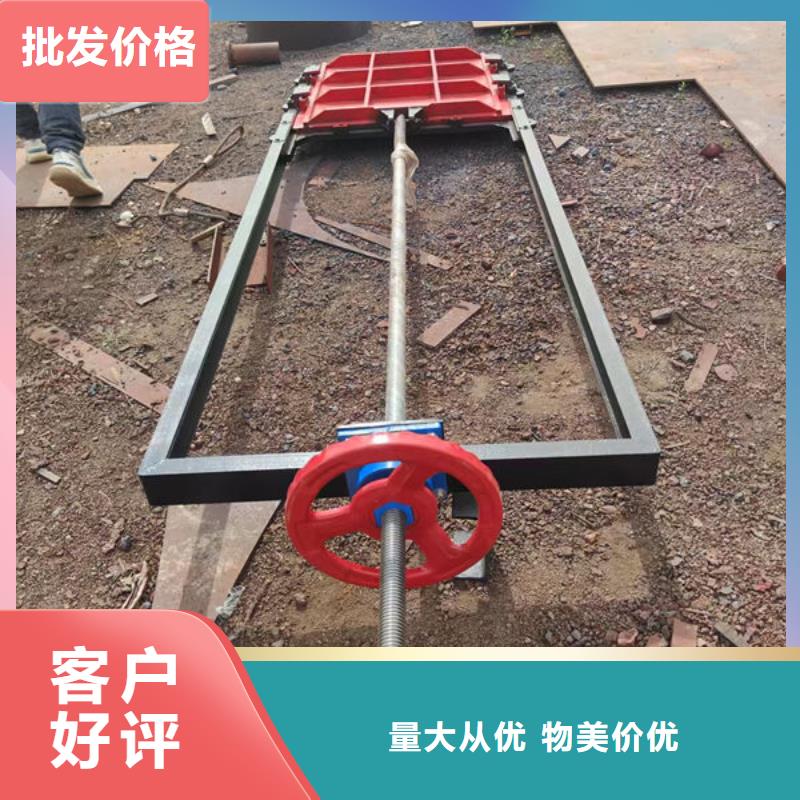 河道铸铁闸门厂家