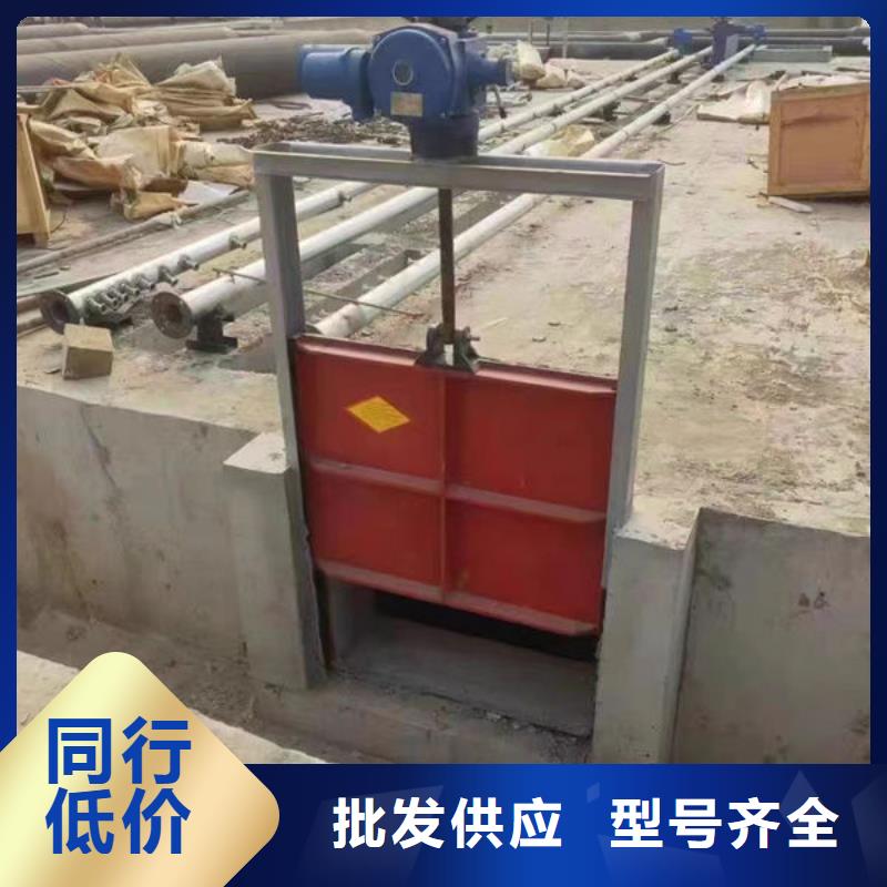 河道铸铁闸门厂家