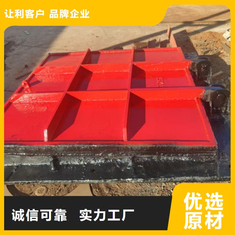 铸铁镶铜闸门钢坝价格