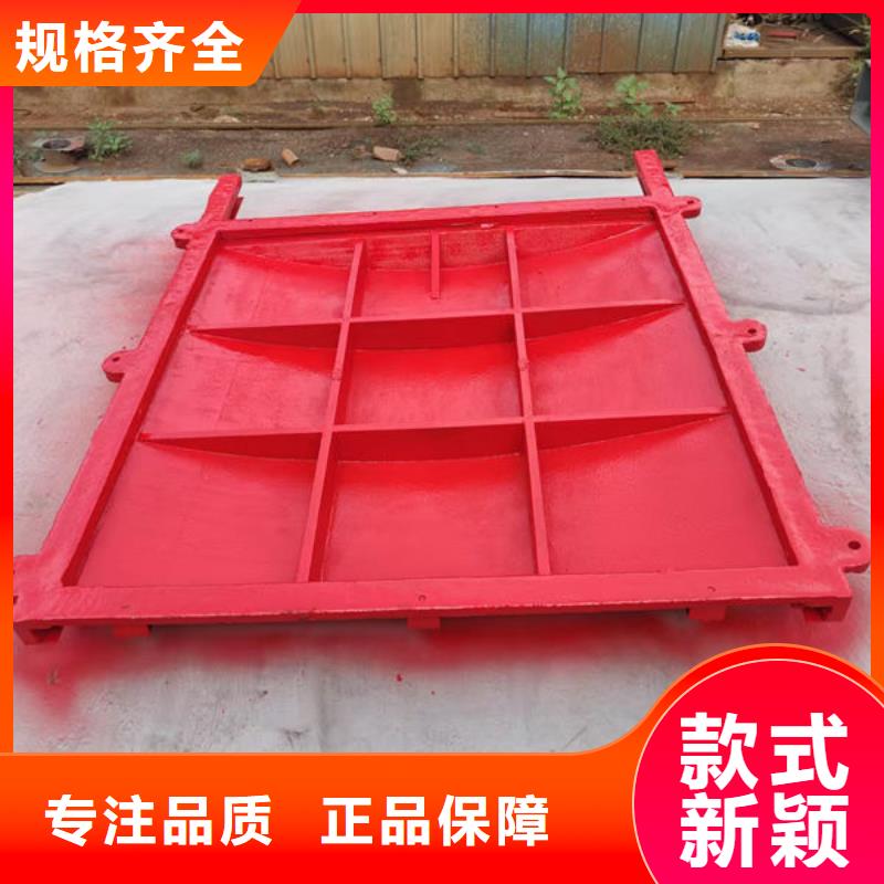 铸铁镶铜闸门报价供应