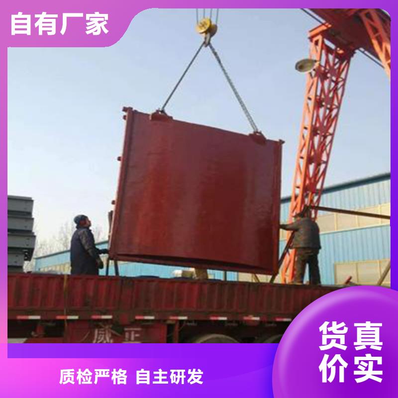 铸铁镶铜闸门SYZ800价格