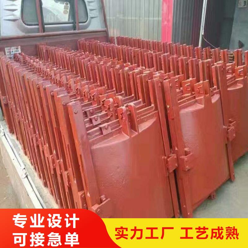 铸铁镶铜闸门工厂生产厂家