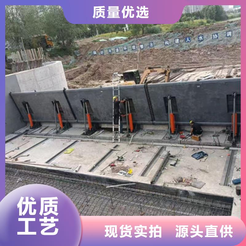 钢坝闸门支持定制