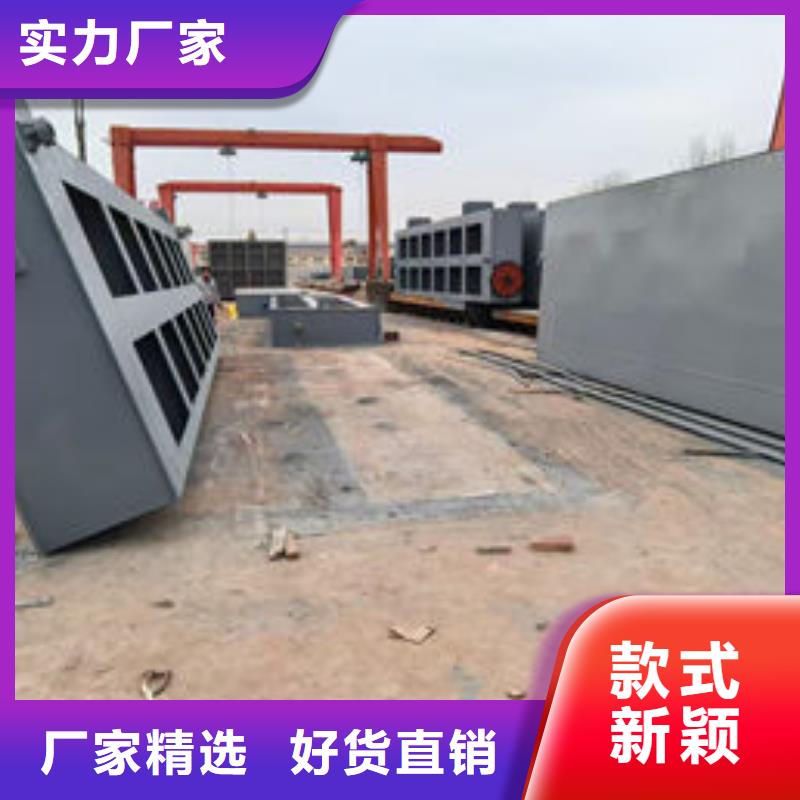 钢坝闸门支持定制