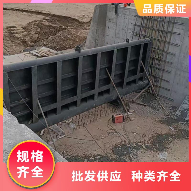 钢坝闸门支持定制