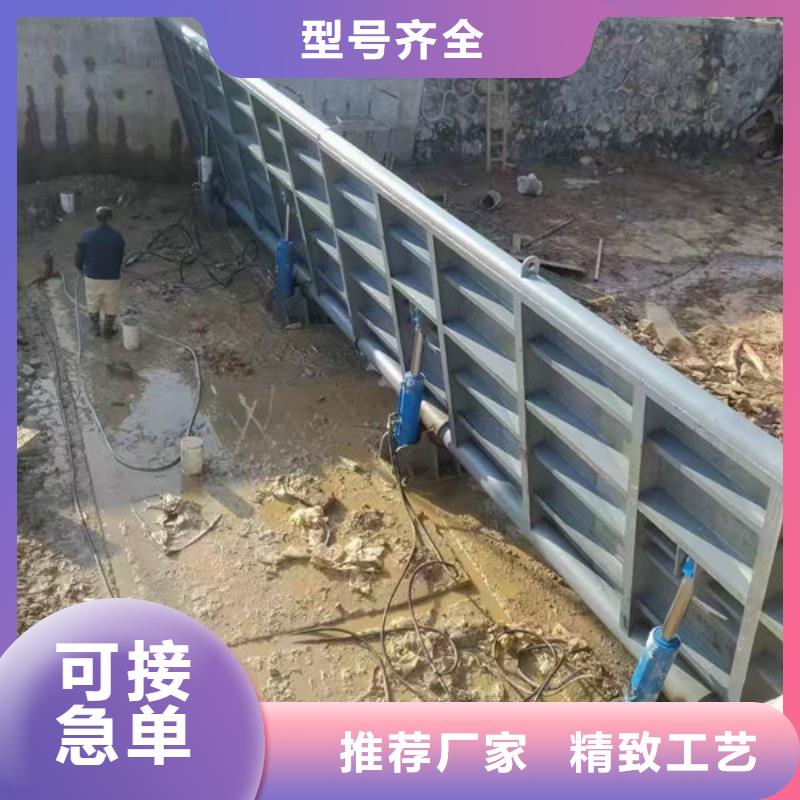 钢坝闸门支持定制