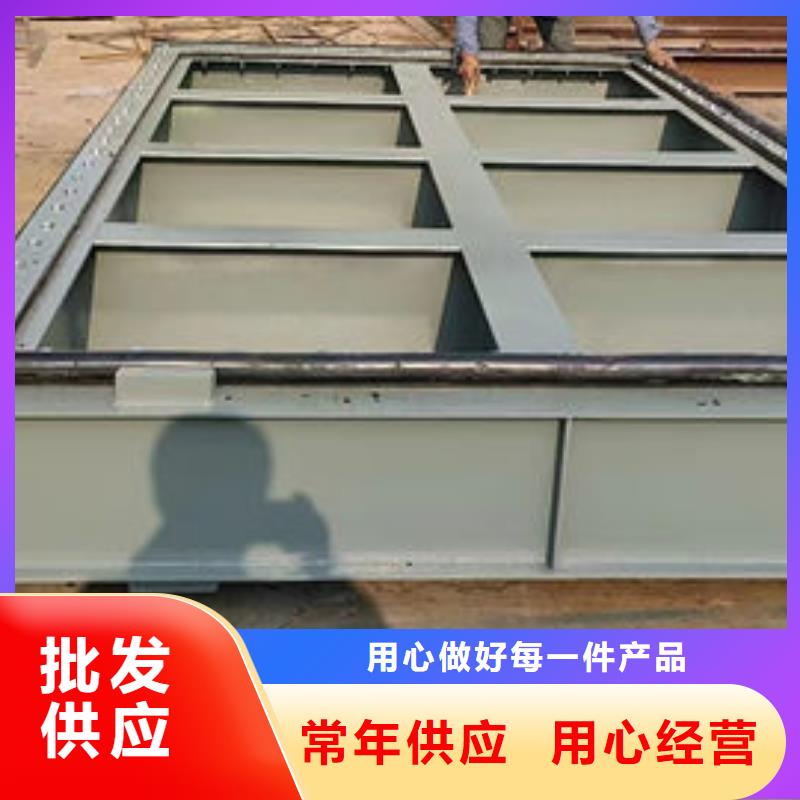 双止水不锈钢闸门用途