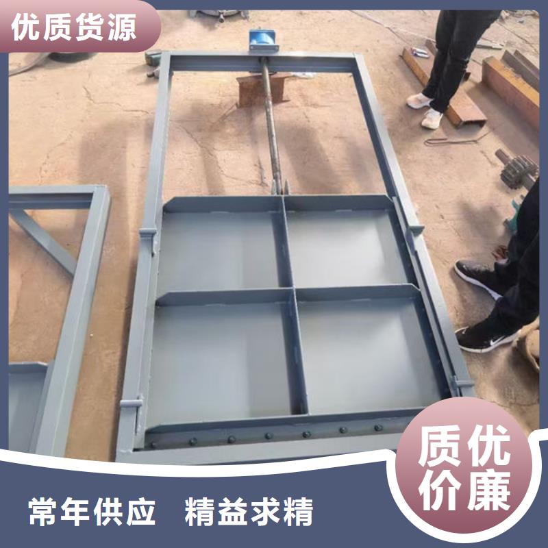 双止水不锈钢闸门用途