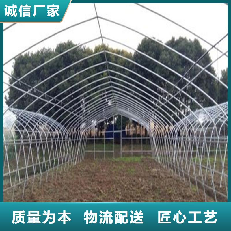 镀锌大棚管_Q345B可定做