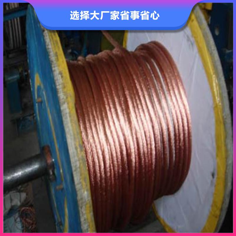 【铜绞线】紫铜板实力见证