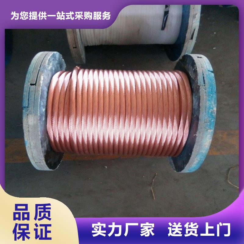 铜绞线【紫铜带】实力雄厚品质保障