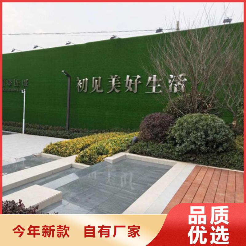 建筑工地施工围挡草皮厂家评价好