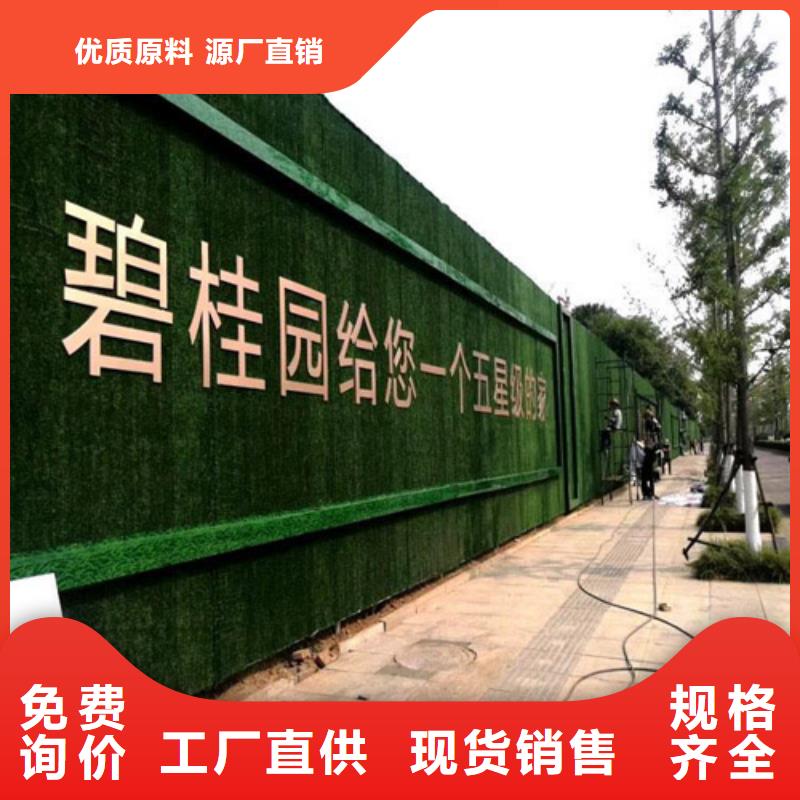 白沙县人工草皮围挡建设