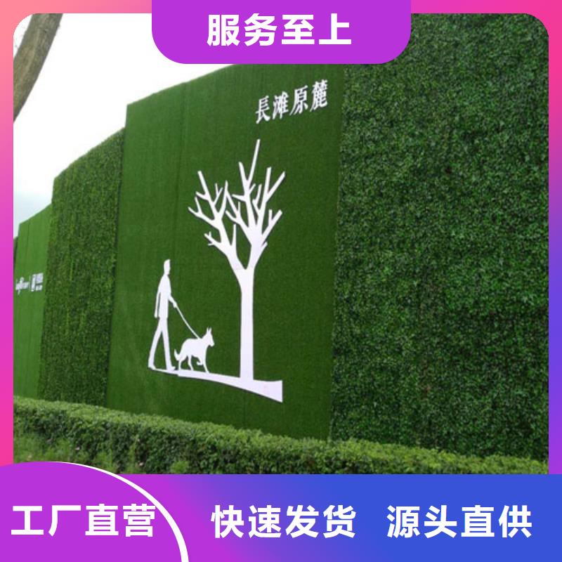 建筑工地施工围挡草皮绿色环保生产厂家