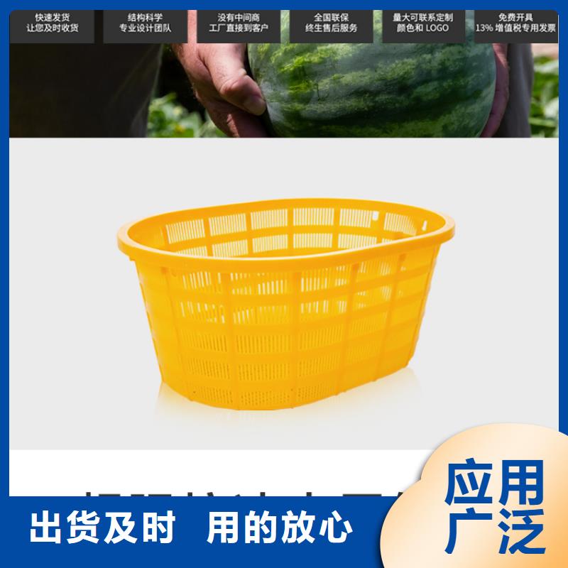 塑料筐塑料储罐专注生产N年