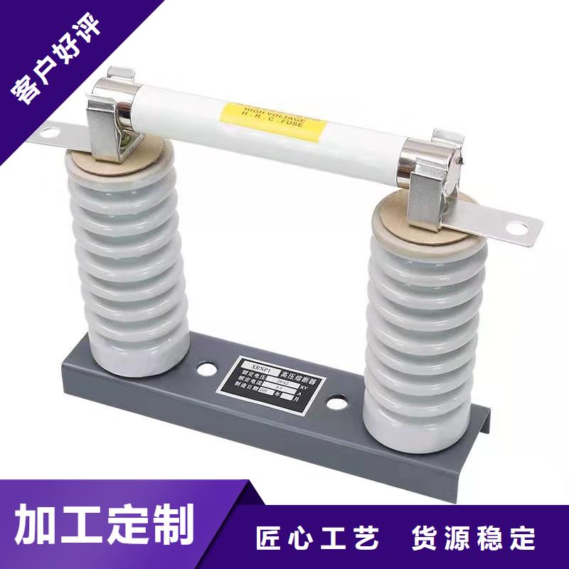 变压器保护用高压限流熔断器XRNT1-3.6KV/100A型号