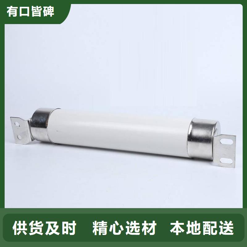 变压器保护用高压限流熔断器XRNT1-7.2KV/10A型号