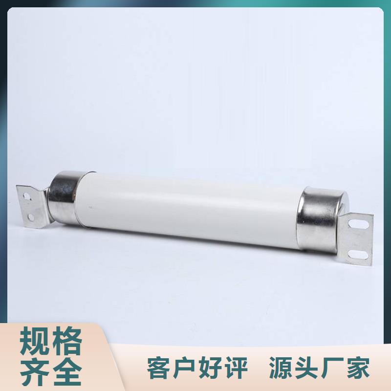 保护电压互感器用高压限流熔断器XRNP1-3.6/3.15A