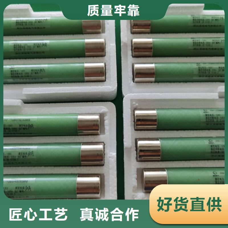 保护电压互感器用高压限流熔断器XRNP1-24/3.15A正品低价