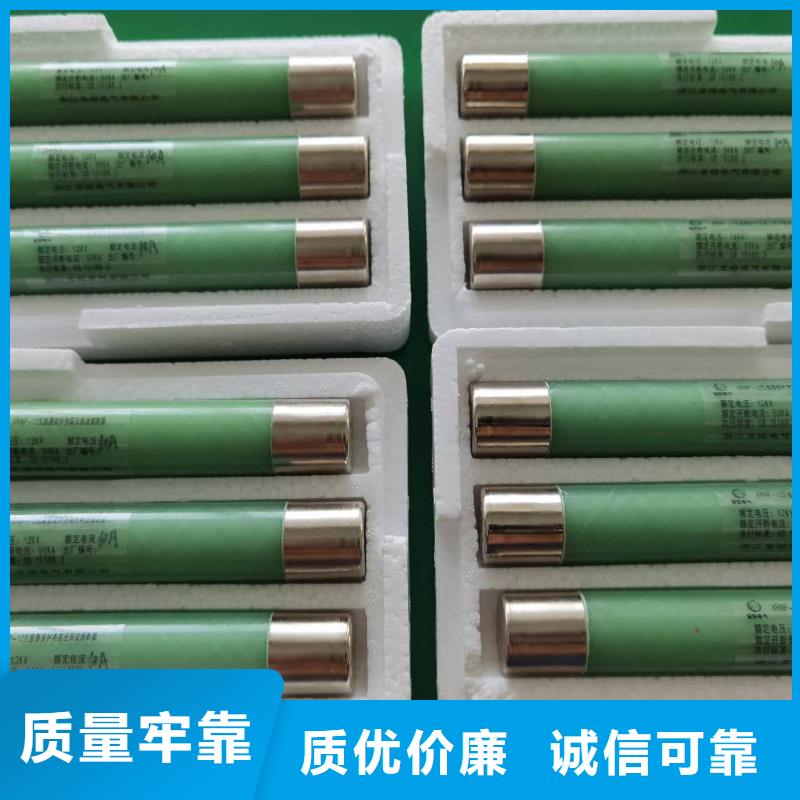 保护电压互感器用高压限流熔断器XRNP1-7.2/1A