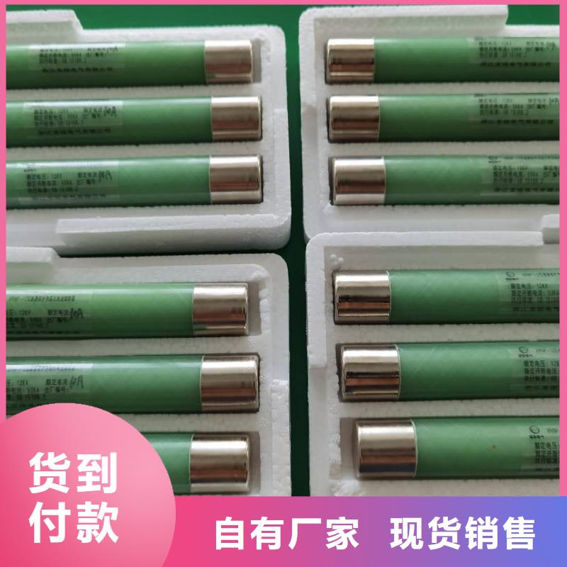 XRNP-10KV互感器保护用高压限流熔断器