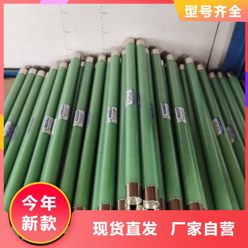 保护电压互感器用高压限流熔断器XRNP1-12/3.15A