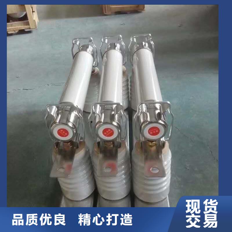 XRNT1-12KV/31.5A型号参数变压器保护用高压限流熔断器