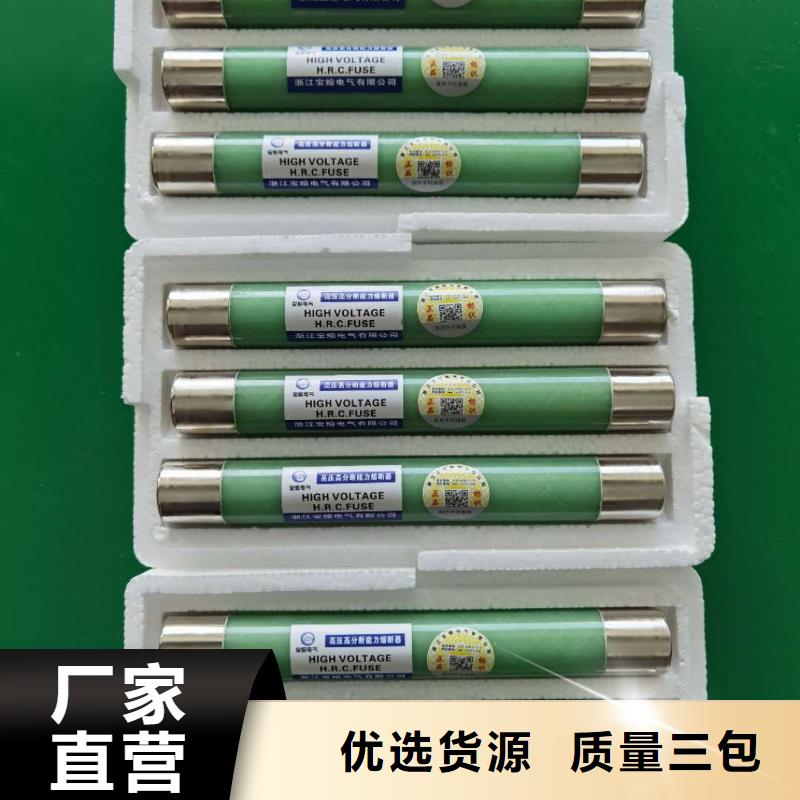 SDLAJ-24KV/40A50A63A变压器保护用高压限流熔断器