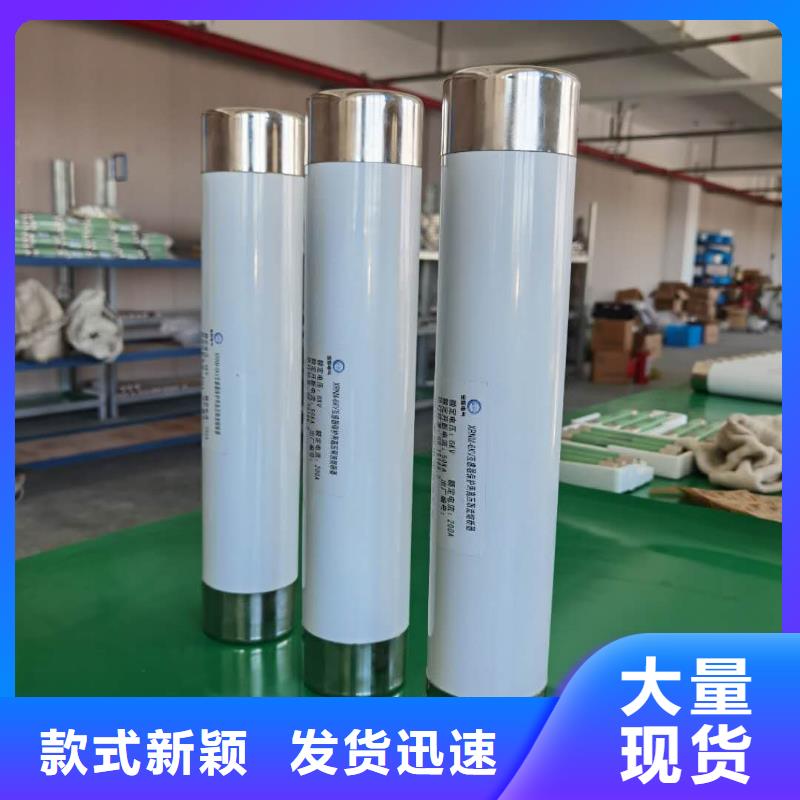 保护电压互感器用高压限流熔断器XRNP1-3.6/3.15A