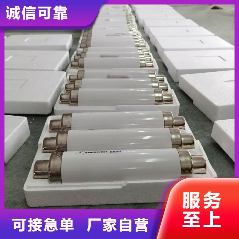 保护电压互感器用高压限流熔断器XRNP1-7.2/0.5A