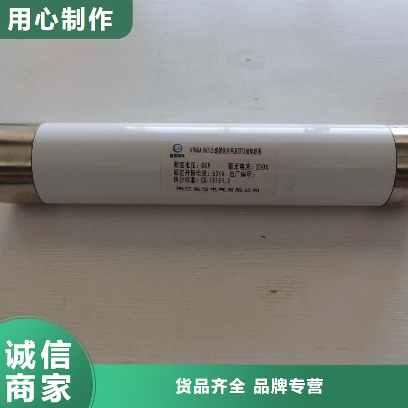 变压器保护用高压限流熔断器XRNT1-10KV/63A选型