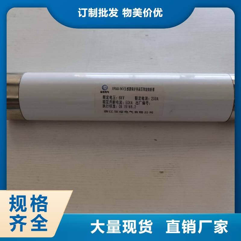 济源市XRNT1-24KV/6.3A型号参数变压器保护用高压限流熔断器