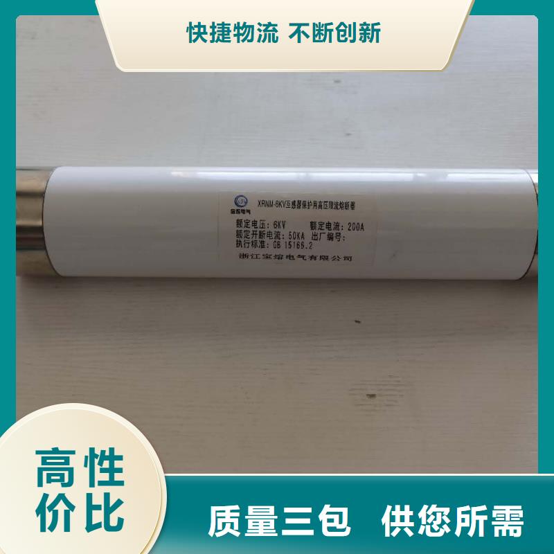 SDLAJ-24KV/20A25A31.5A变压器保护用高压限流熔断器