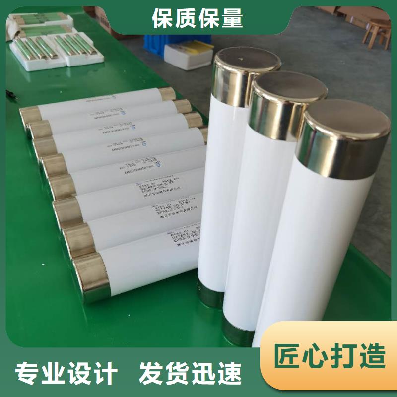 生产厂家XRNP1-35/0.5A保护电压互感器用高压限流熔断器