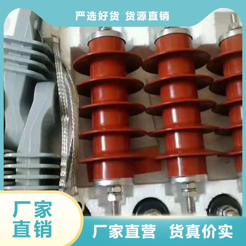 高压线路型氧化锌一体式避雷器XHQ5-12KV17/50厂家直销