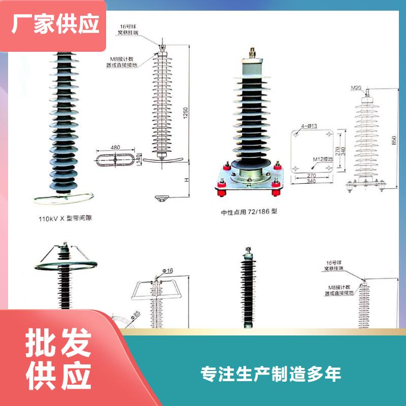 定安县电站型氧化锌避雷器避雷器HY5WZ-96/250批发价