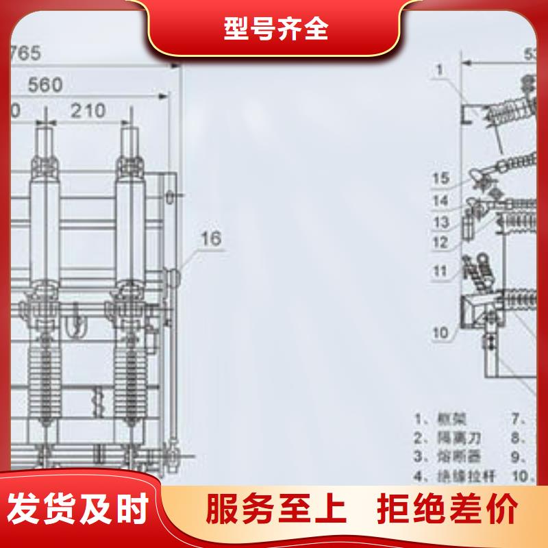 FN25-12RD真空负荷开关