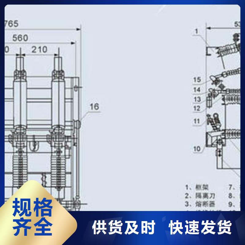 户内真空负荷开关FN21-12D/T630-20