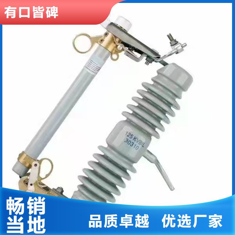 跌落式熔断器【HY5WS-17/50避雷器】支持定制贴心售后